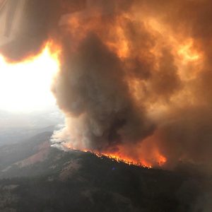 A tree falling on a PG&E distribution line ignited the nearly 1-million-acre Dixie Fire in July 2021.