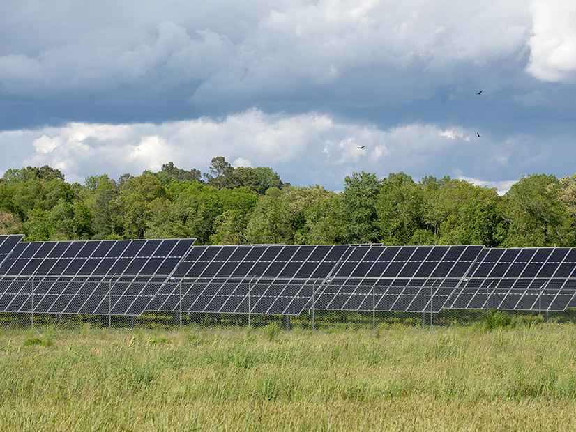 An array of solar panels in Hurlock, MD, photographed on May 3