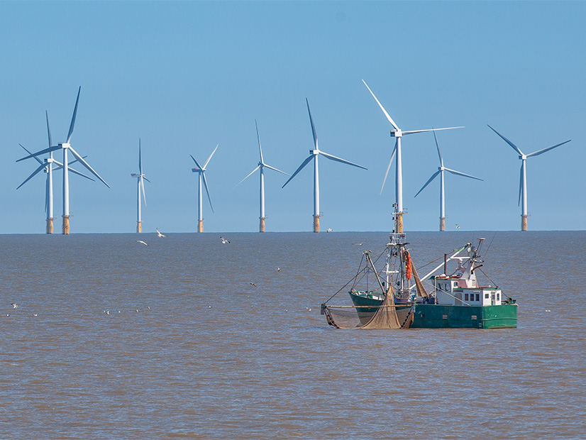 A new report aggregates scientific knowledge on the impact of offshore wind on fisheries and identifies gaps in that knowledge.