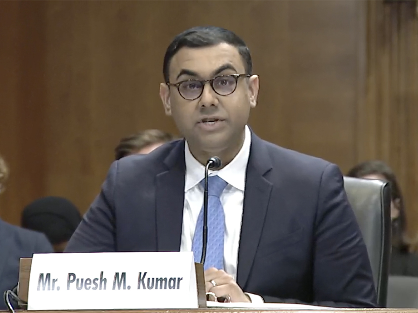 DOE's Office of Cyber Security, Energy Security and Emergency Response Director Puesh Kumar testifying Thursday.