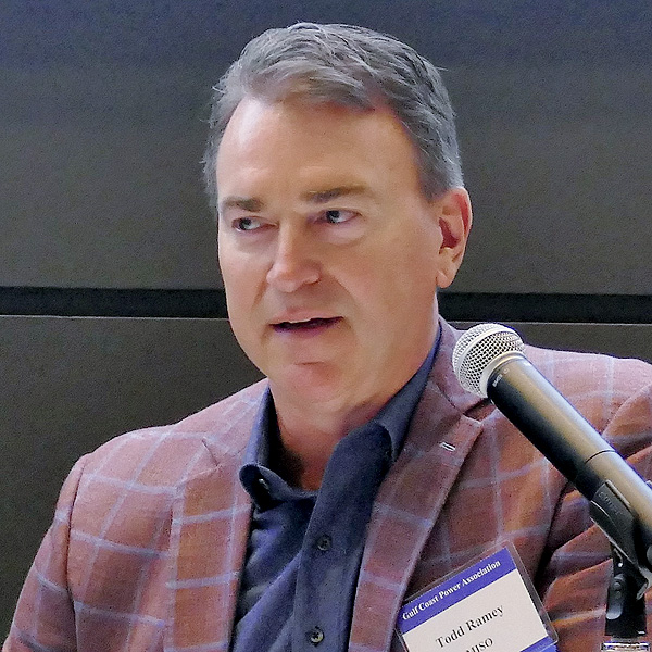 MISO IMM David Patton