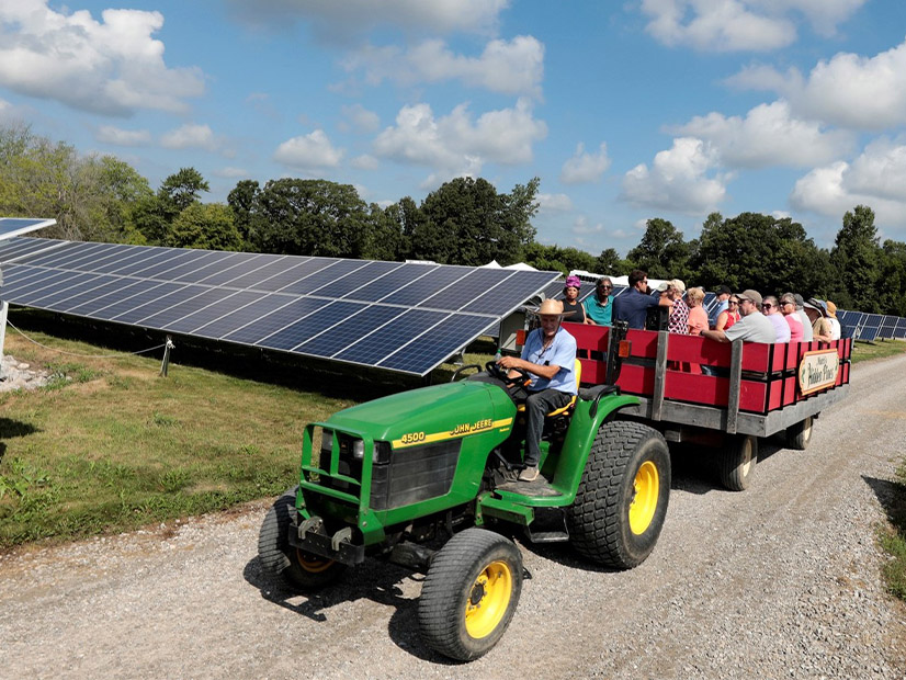 Public tour of a DTE solar park in August