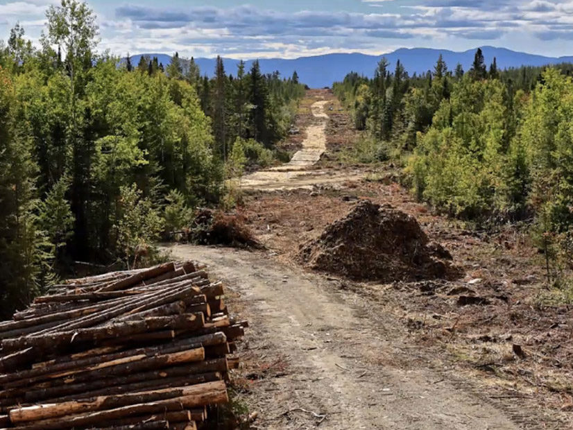 A portion of the right of way for the New England Clean Energy Connect transmission line.