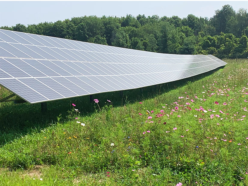 NYSERDA expanded its Smart Solar Siting Scorecard to help encourage certain agrivoltaic activities for solar project awards under the next large-scale renewables solicitation.