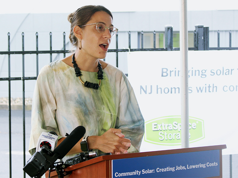 Jane Cohen, executive director at the Governor's Office of Climate Action and the Green Economy