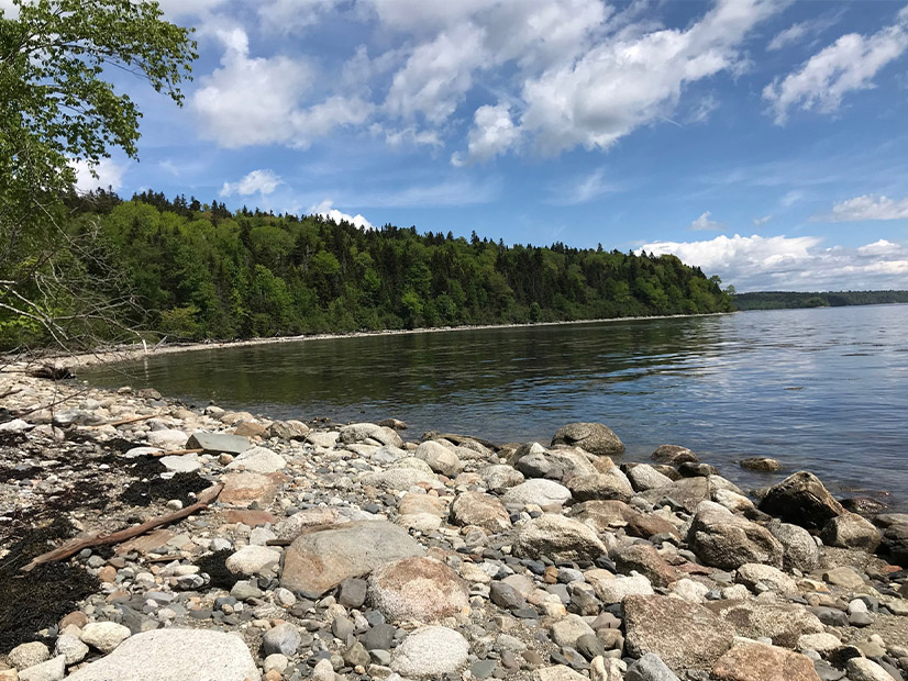 The history of Maine's attempts to find the best use for Sears Island goes back at least 15 years and includes a 2007 consent agreement of the Sears Island Planning Initiative.