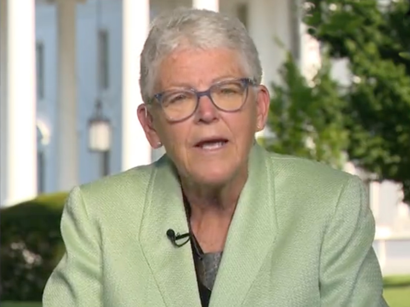 National Climate Advisor Gina McCarthy: "The private sector isn't sitting around twiddling its thumbs about one provision in the Clean Air Act."