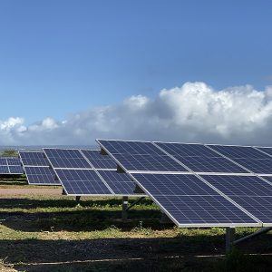 HECO's 20 MW solar project in the West Loch area of Pearl Harbor.