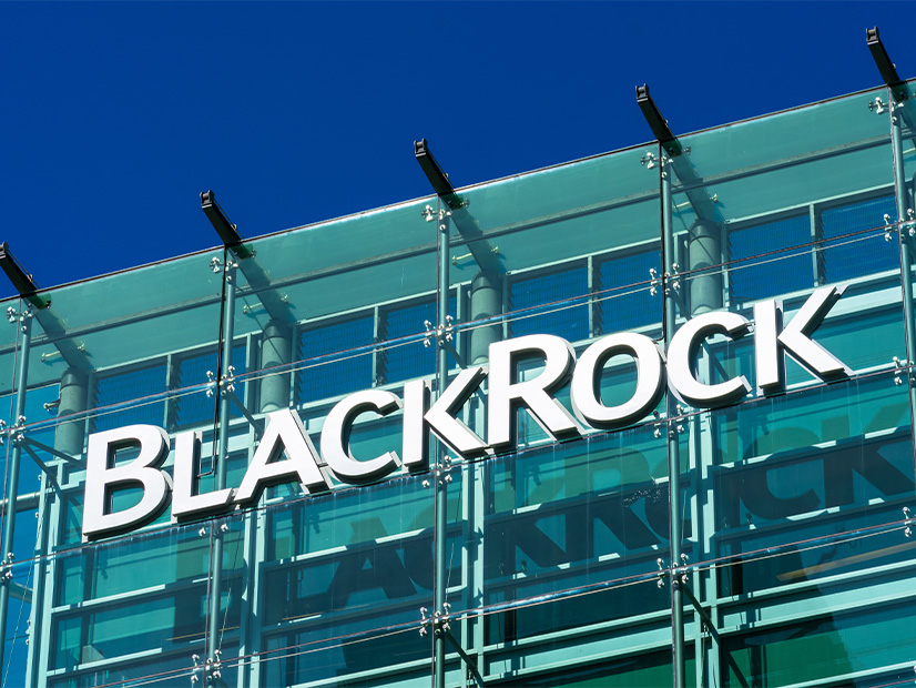 FERC this week re-upped BlackRock's blanket authorization to buy utility shares.