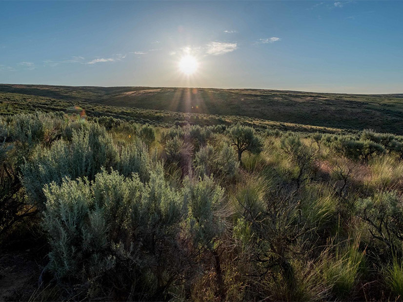 Washington's shrub-steppe habitat has been reduced by more than half over the years in the face of farming and other development.