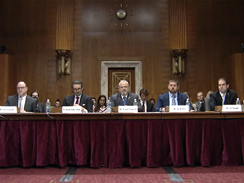 Speaking at Thursday's hearing on critical minerals were (left to right) David Howell, DOE; Duncan Wood, Wilson Center; Scott Forney, General Atomics; Joe Britton, ZETA; and J.B. Straubel, Redwood Materials.