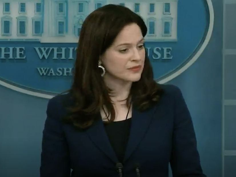 Anne Neuberger, Deputy National Security for Cyber and Emerging Technology, speaks at a press briefing Monday at the White House.