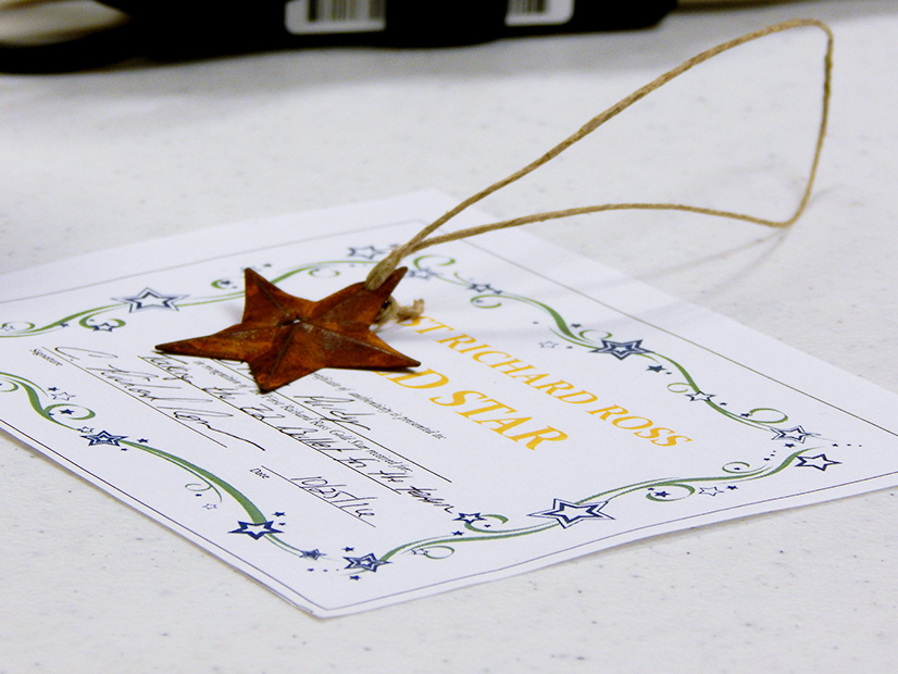 The coveted Richard Ross Gold Star award.