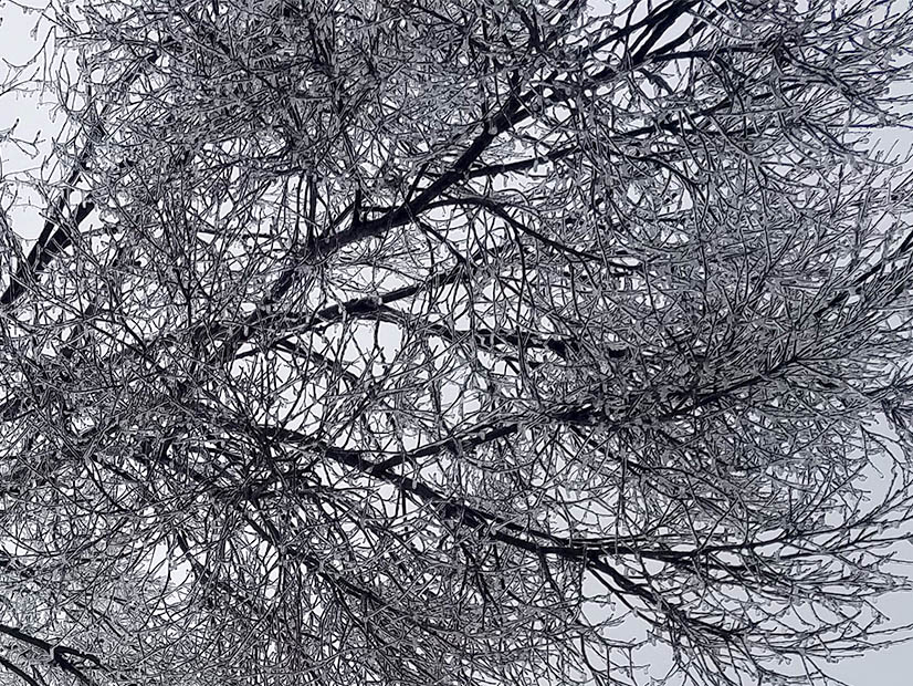 Icy winter wonderland in Carrollton, a Dallas suburb