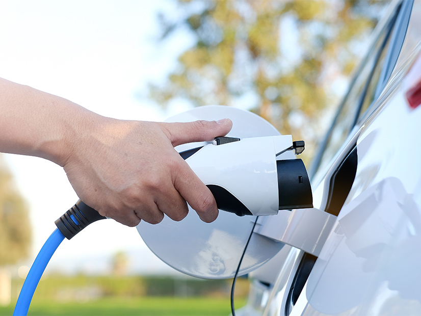 Advocates and policymakers talked electric vehicles at a NECA panel this week. 