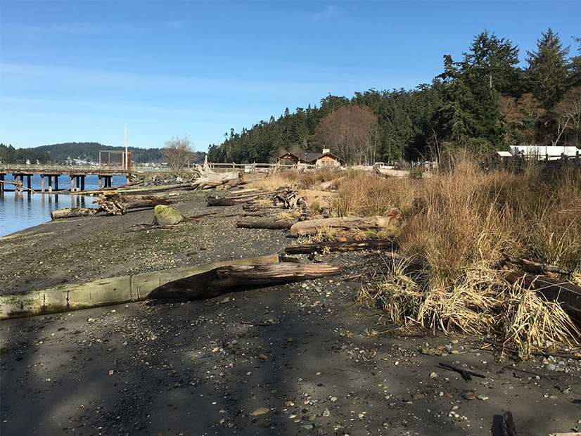 A revived Washington bill would require localities to factor climate change mitigation into land-use and shoreline planning.