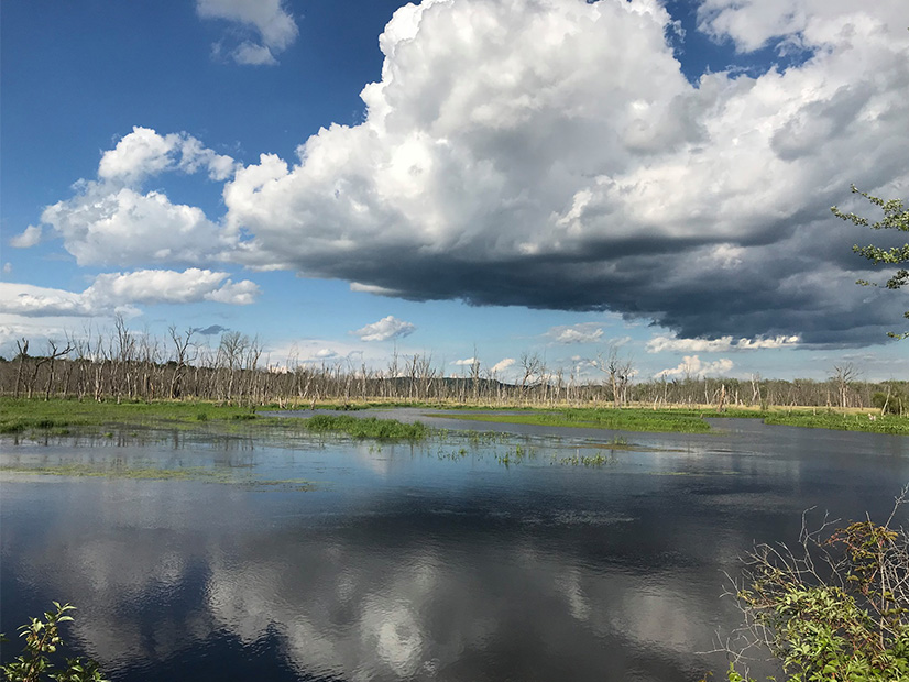Upper Mississippi River National Fish and Wildlife Refuge