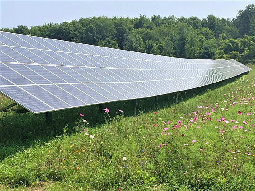 Among the major recommendations in the newly adopted Vermont Climate Action Plan is a call to adopt a policy that directs state regulators to design a 100% carbon-free renewable portfolio standard no later than 2030.