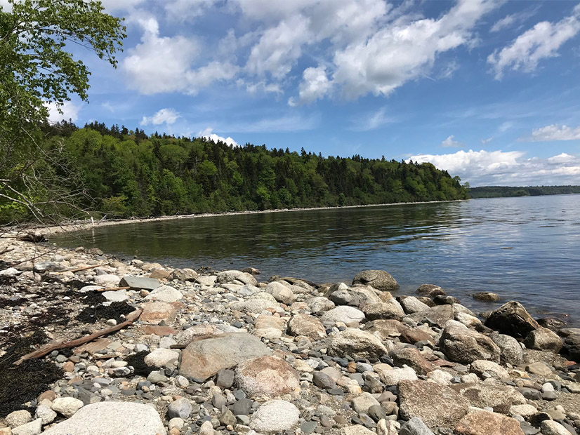 The Maine Department of Transportation has identified a preferred offshore wind port hub site on Sears Island that would be nearby a conservation easement used for recreation and nature conservancy.
