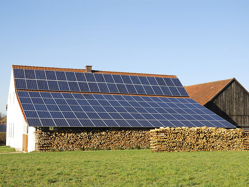 The Massachusetts Department of Agricultural Resources has distributed just under $3 million in grants to local farms for energy efficiency upgrades, and in some cases rooftop solar panel installations. 
