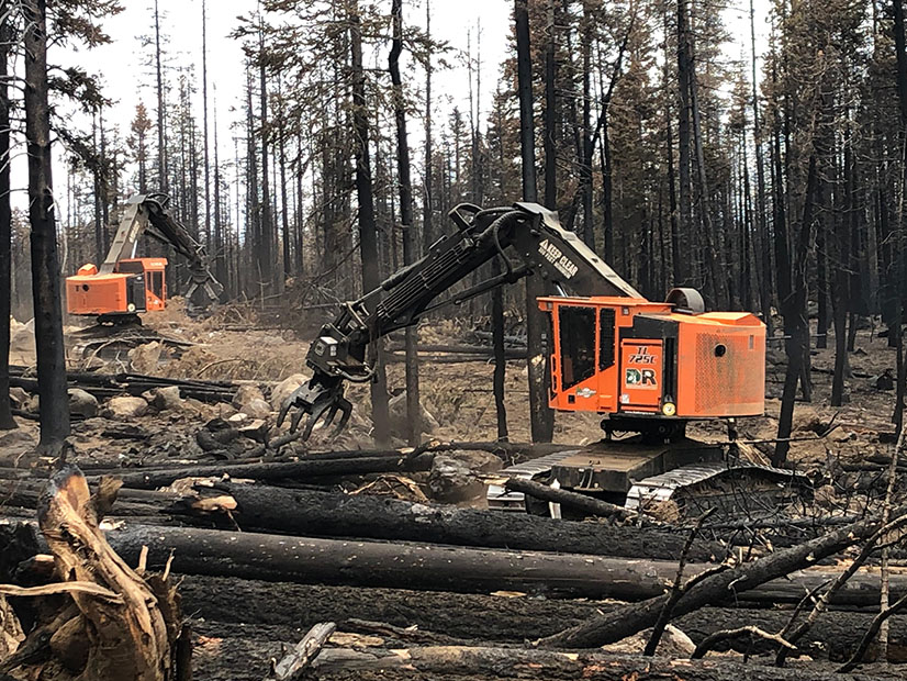 Clean up of the nearly 1 million-acre Dixie Fire could take years.