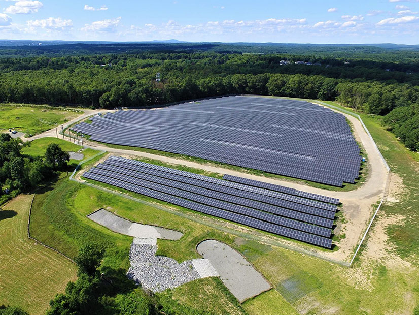 This BlueWave solar project in Grafton, Mass., will host research ground crops and rotational grazing of cows for beef. 