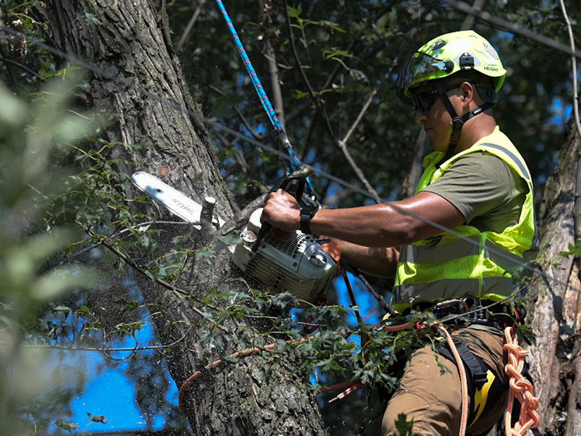 Utility worker during cleanup following August 2021 storms in Michigan
