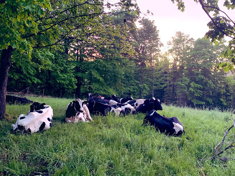 The Vermont Climate Council is considering changing the way it estimates agriculture sector emissions from a livestock census-based method to a land-based method that accounts for emission reductions from land management practices.