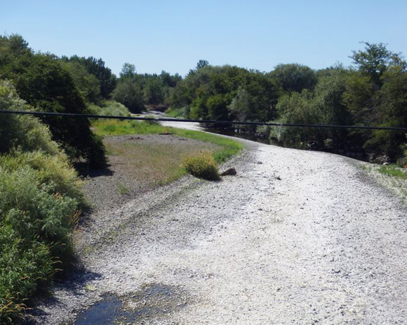 A portion of the Walla Walla River was dry by the end of June, prompting state official to curtail irrigation.