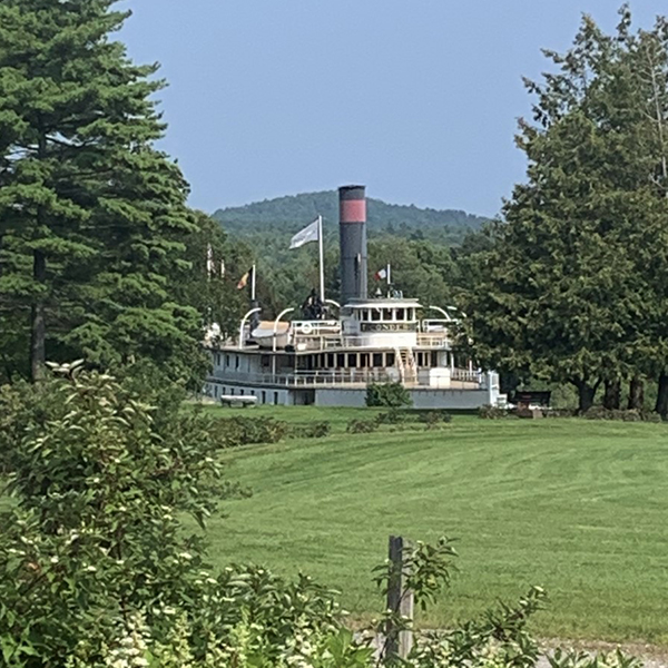 The Shelburne Museum worked with Bee The Change to plant ground cover around its new solar facility to create a healthy habitat for bees, butterflies, hummingbirds, moths and other insects critical to food security.