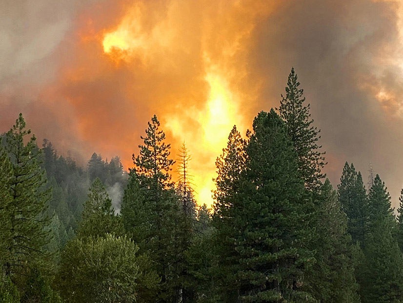Dixie-Fire-in-Greenville-Calif-(US-Forest-Service-Lassen-National-Forest)-Alt-FI.jpg