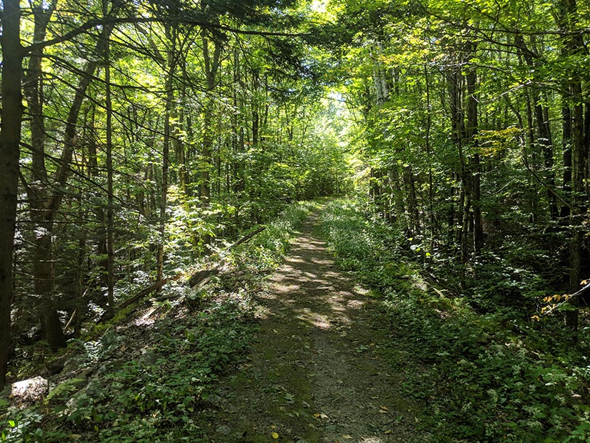 Biomass facilities that only use wood byproducts, including trees that are removed to promote forest health, are eligible for RECs under Massachusetts'  Renewable Portfolio Standard.