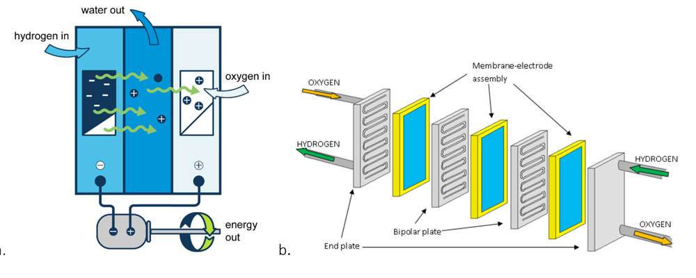 fuel cells