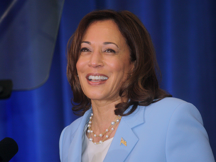 Vice President Kamala Harris 