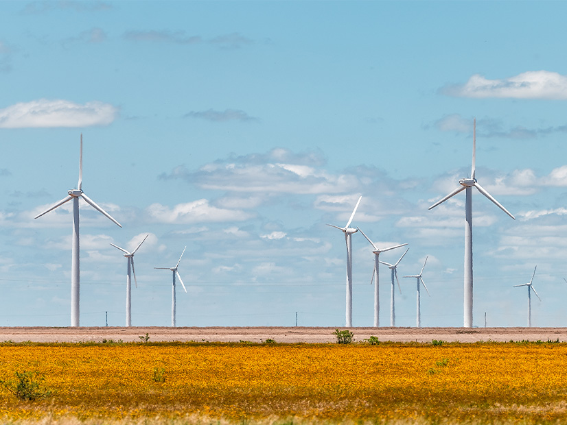 Wind turbines dot the prairie near Sweetwater, Texas.