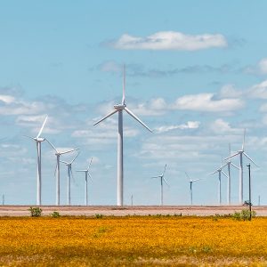 Wind turbines dot the prairie near Sweetwater, Texas.