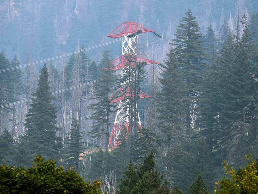 BPA transmission line on the Oregon side of the Columbia Gorge.