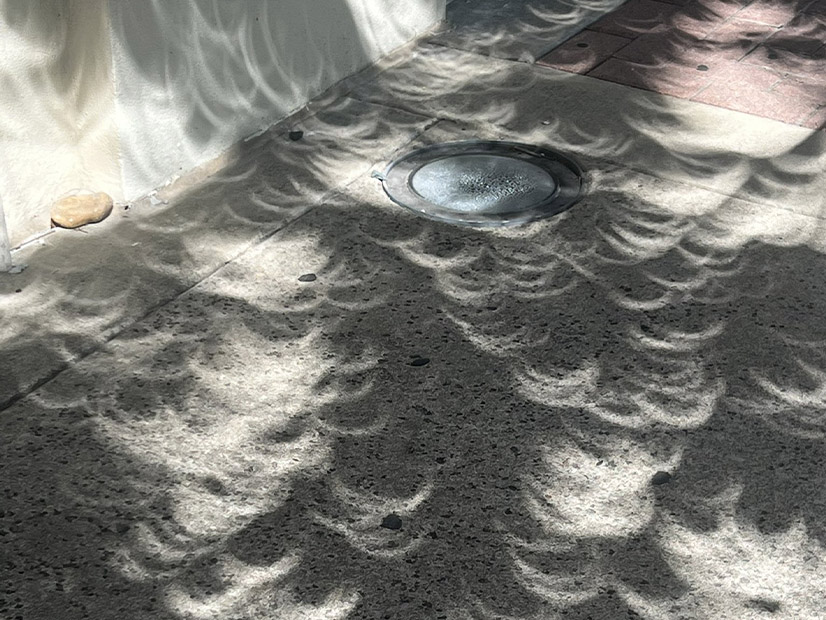 Crescent shadows on an Austin sidewalk.