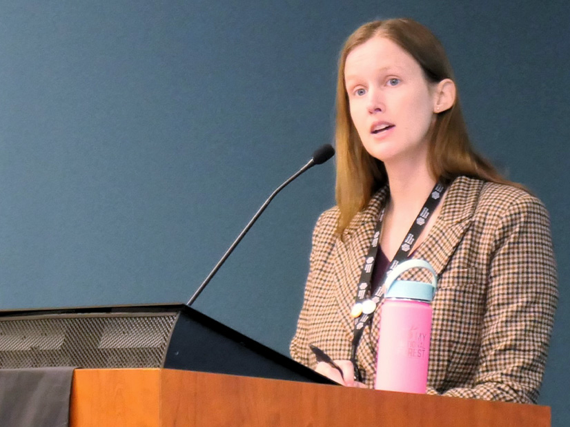 MISO Executive Director of Transmission Planning Laura Rauch