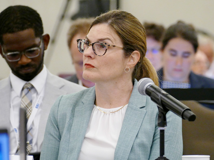 Former FERC Commissioner Allison Clements Former FERC Commissioner Allison Clements