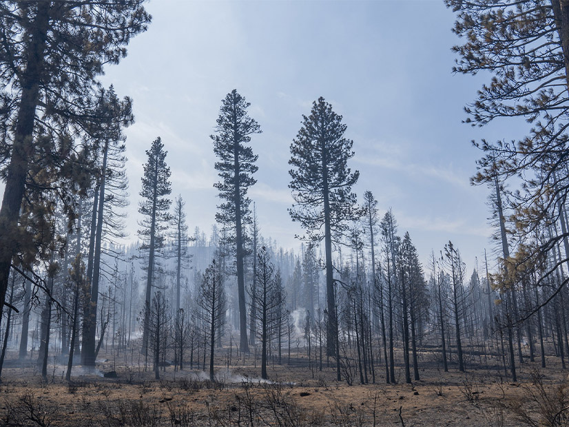 The Dixie Fire burned 963,309 acres and destroyed about 1,300 structures in Northern California in 2021.