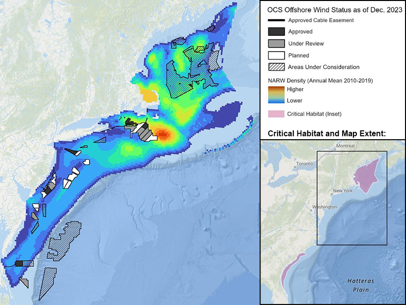 A map shows the greatest concentration of North Atlantic Right Whales to be off the New England coast, near a cluster of designated wind energy areas.