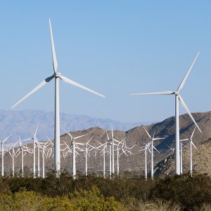 Wind farm near Palm Springs, Calif. Wind farm near Palm Springs, Calif.