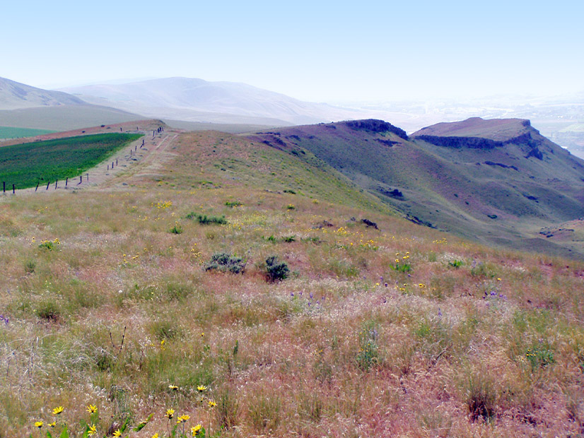 Scout Clean Energy's project is proposed for southeastern Washington's Horse Heaven Hills area.