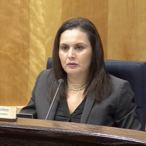 Texas PUC's Lori Cobos offers her comments on ERCOT's performance credit mechanism market tool.