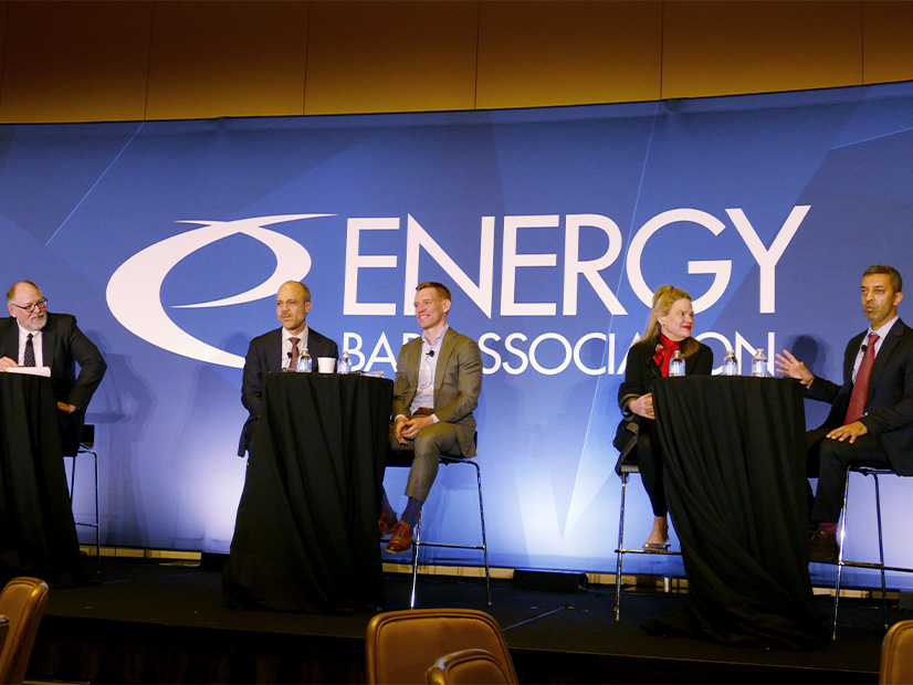From left: Harvard Law's Andrew Mergen, DOE General Counsel Samuel Walsh, FERC General Counsel Matthew Christiansen, Georgetown Law professor Victoria Nourse and Jenner & Block's Anand Viswanathan at EBA
