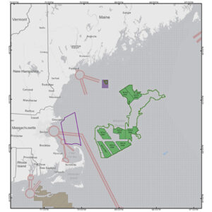 The U.S. Bureau of Ocean Energy Management is proposing to offer at auction eight wind energy areas in the Gulf of Maine.
