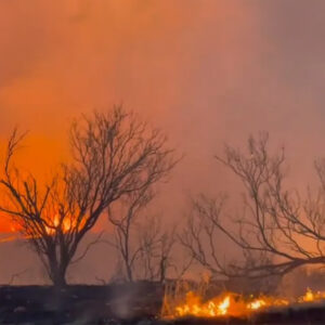 The Smokehouse Creek fire, the largest in Texas history, burned more than 1 million acres. 