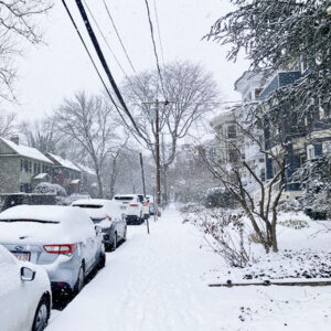 A winter storm in Cambridge, Mass. 