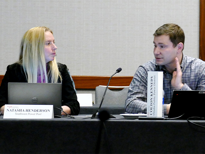 SPP's Natasha Henderson and Omaha Public Power District's Colton Kennedy discuss the long-term planning reserve margin policy.